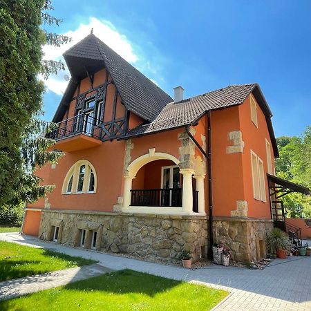 Penzion Villa Amelie Mlada Boleslav Bagian luar foto