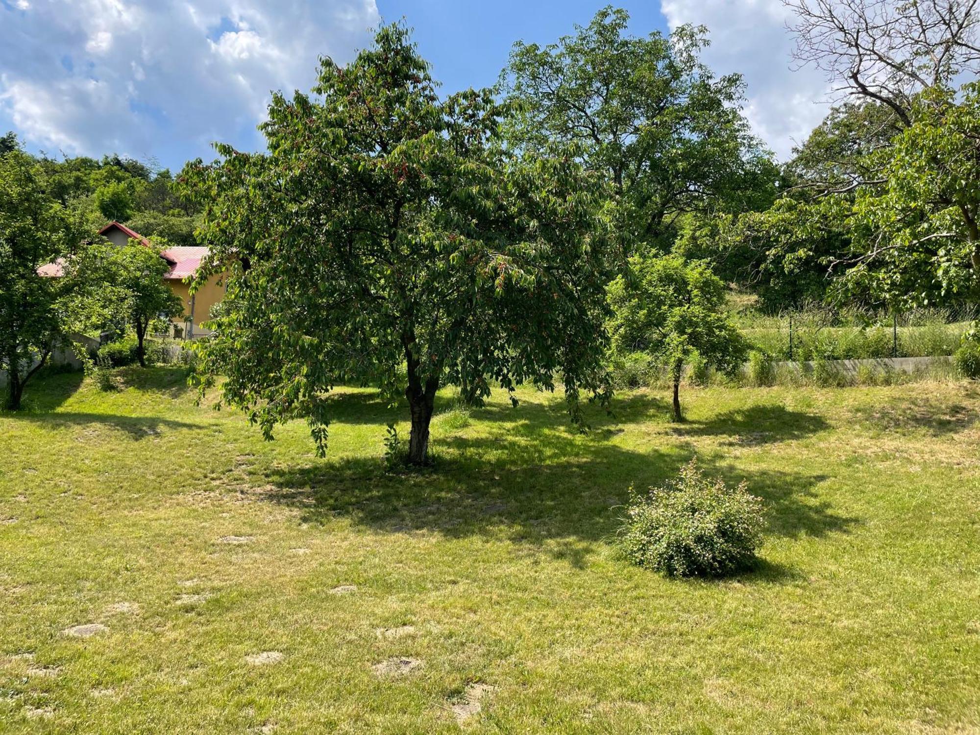 Penzion Villa Amelie Mlada Boleslav Bagian luar foto